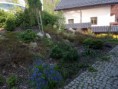 /album/zahrada-cvejnova/img-20190502-165505-jpg/